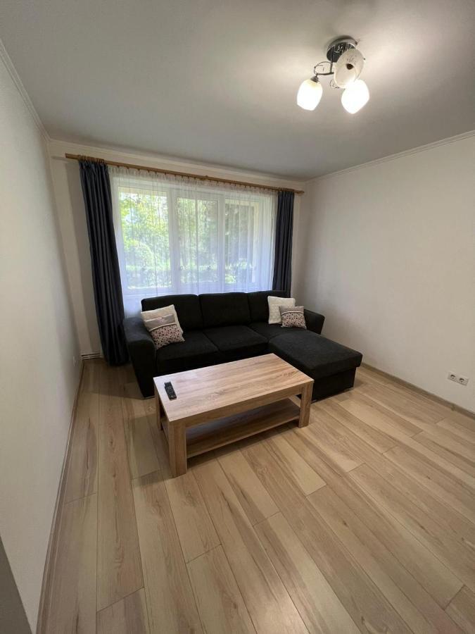 Apartment Gold Baia Mare